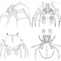 spidermite_P1